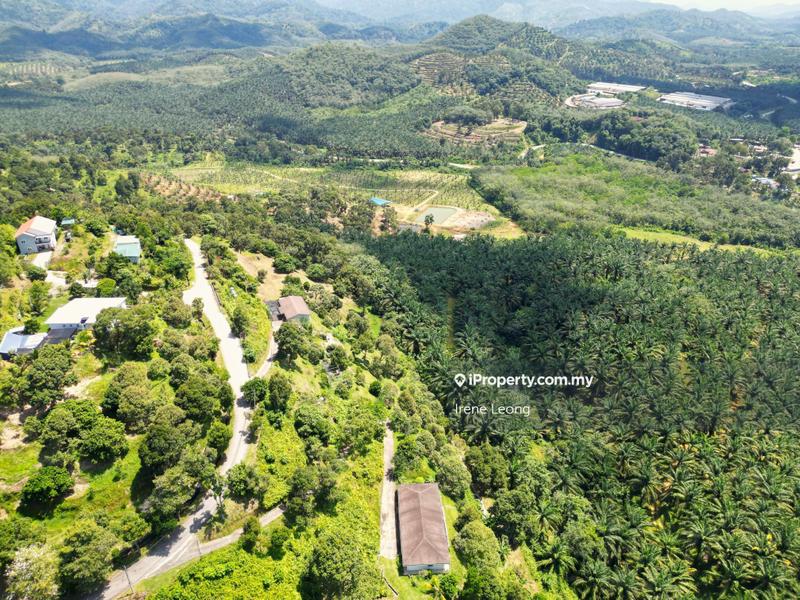 Agricultural Land for Sale in Karak, Pahang by Irene Leong - iProperty.com.my