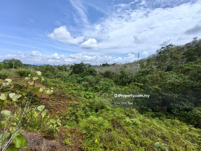 Agricultural Land for Sale in Kerambit, Kuala Lipis by Vincent Tee - iProperty.com.my