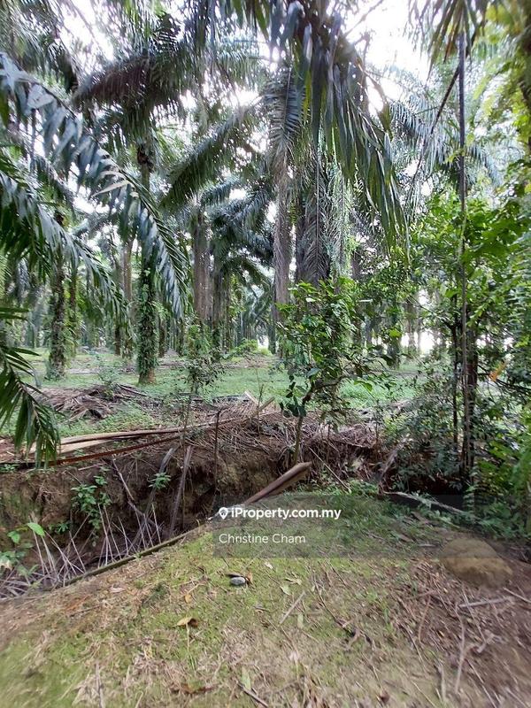 Tanah Kediaman untuk Dijual di Kota Tinggi Johor, Kota Tinggi oleh Christine Cham - iProperty.com.my