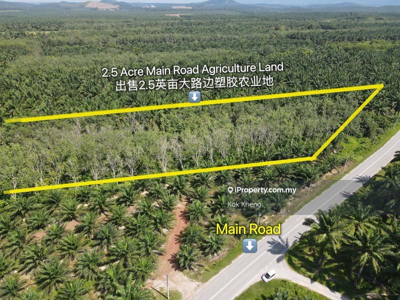 For Sale - Right Beside The Main Road - Agriculture Land For Sale