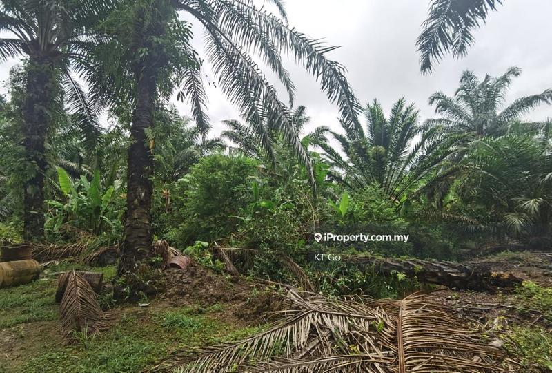 For Sale - Port Dickson Jimah