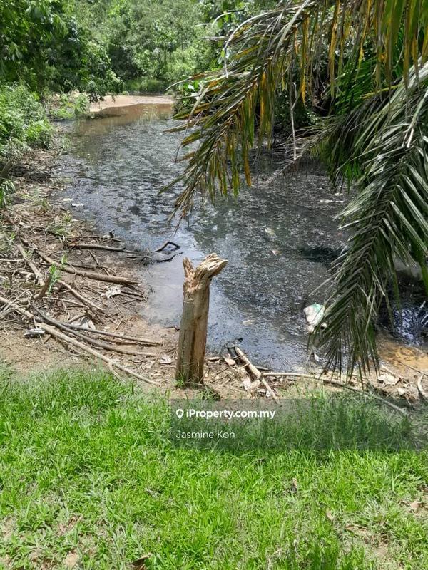 Tanah Pertanian untuk Dijual di Kemaman, Terengganu oleh Jasmine Koh - iProperty.com.my