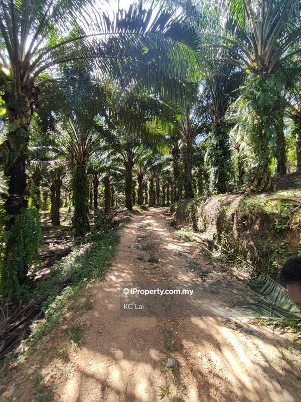 Tanah Pertanian untuk Dijual di Seremban Land 60 acres, Seremban oleh KC Lai - iProperty.com.my