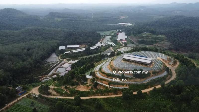 For Sale - Agriculture Land @ Kampung Legong Jaya, Gadong, 71350 Rembau, Negeri Sembilan for Sale