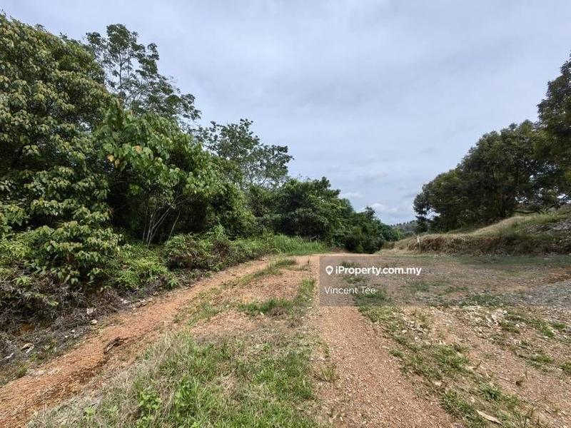 For Sale - 9 Acres Freehold Hilly Land Bandar Kuala Lipis