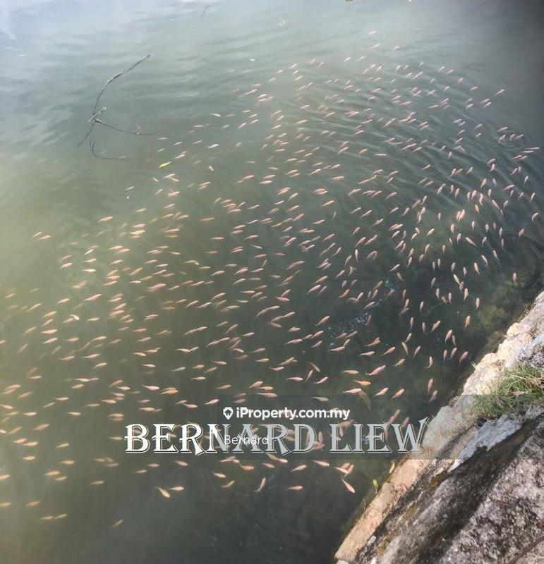 Tanah Pertanian untuk Dijual di Gurun, Kedah oleh Bernard - iProperty.com.my