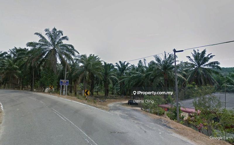 For Sale - 455 acres Kuala Pilah Oil Palm Estate