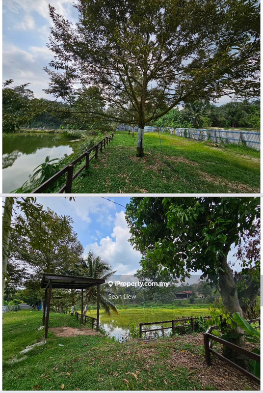 Agricultural Land for Sale in Hulu Langat, Selangor by Sean Liew - iProperty.com.my
