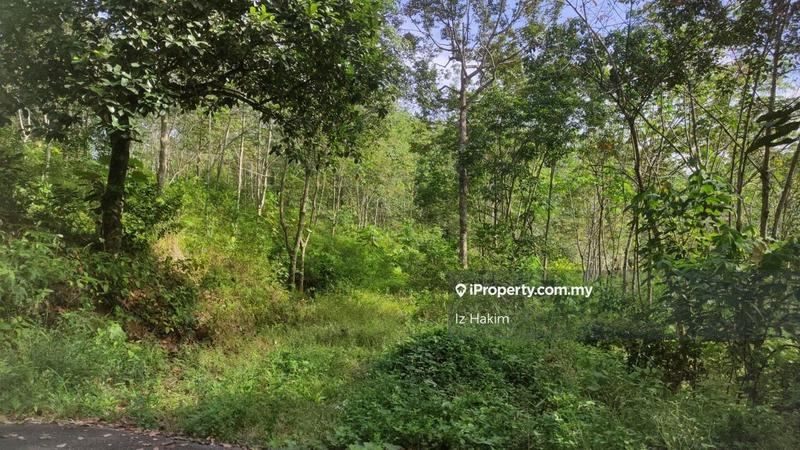 Tanah Pertanian untuk Dijual di hulu rening, Batang Kali oleh Iz Hakim - iProperty.com.my