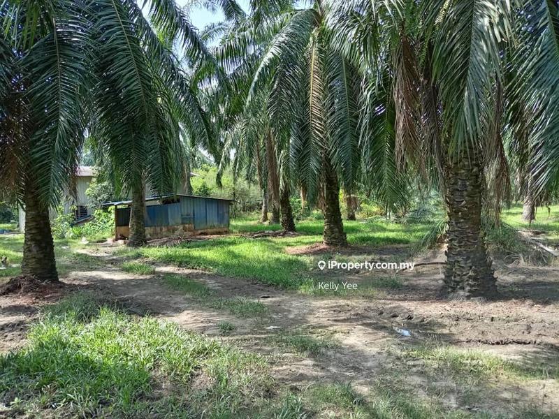 Agricultural Land for Sale in Changkat, Nibong Tebal by Kelly Yee - iProperty.com.my