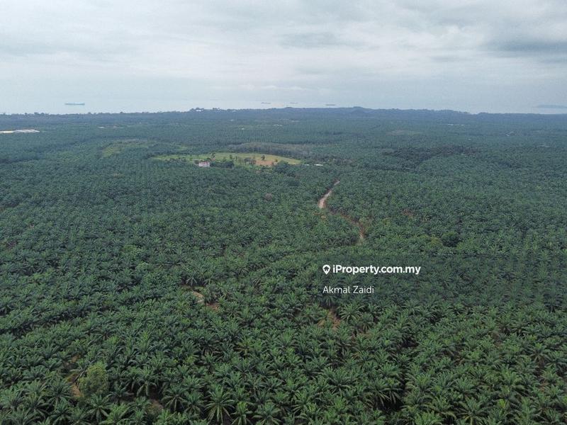 Tanah Perindustrian untuk Dijual di Melaka Ayer Keroh Jasin Alor Gajah, Melaka City oleh Akmal Zaidi - iProperty.com.my