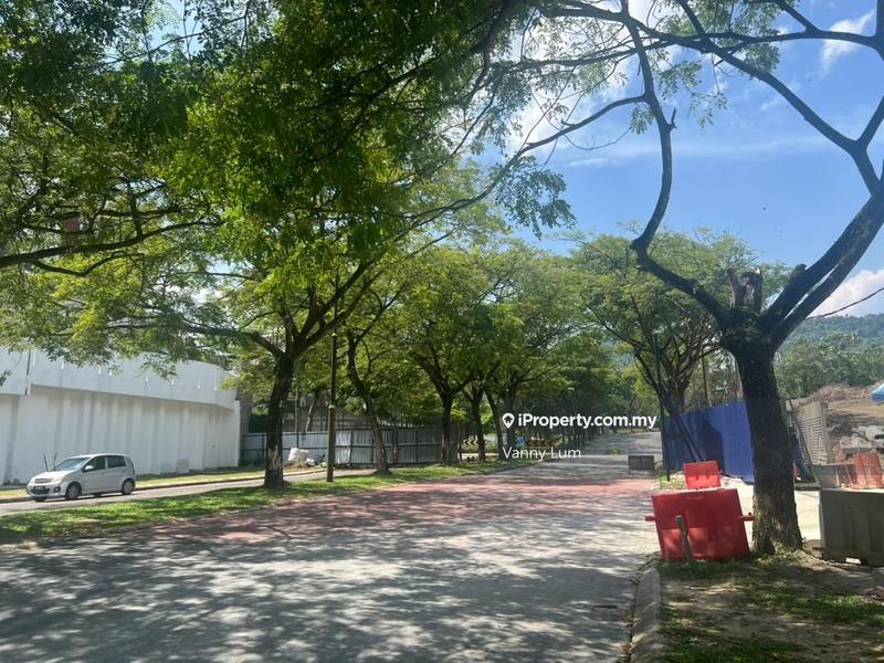 For Sale - Twin Plam Agriculture Land Facing Main Road Exit Easy Silk Highway