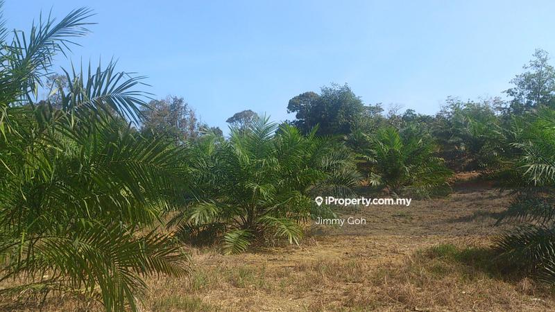 Tanah Pertanian untuk Dijual di Kerling, Kerling oleh Jimmy Goh - iProperty.com.my