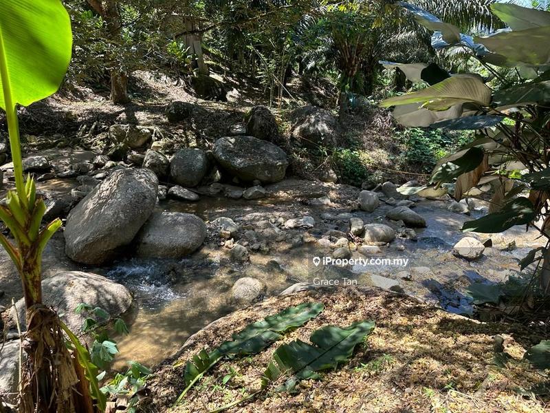 Tanah Pertanian untuk Dijual di Bentong Sang Lee ,Raub, Raub oleh Grace Tan - iProperty.com.my