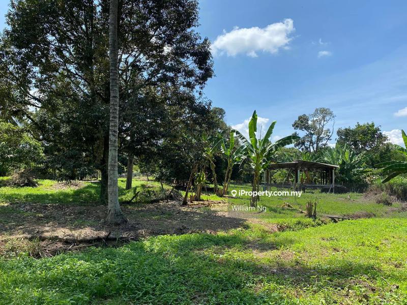 Agricultural Land for Sale in Taman Jelebu, Kuala Klawang by William Ng - iProperty.com.my