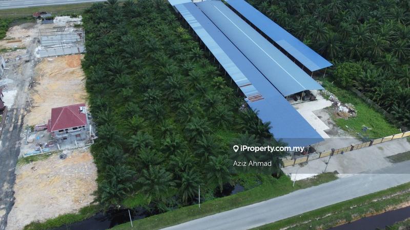 Agricultural Land for Sale in Kampung Jenjarom, Jenjarom by Aziz Ahmad - iProperty.com.my