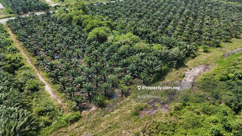 Agricultural Land for Sale in Kampung Jenjarom, Jenjarom by Aziz Ahmad - iProperty.com.my