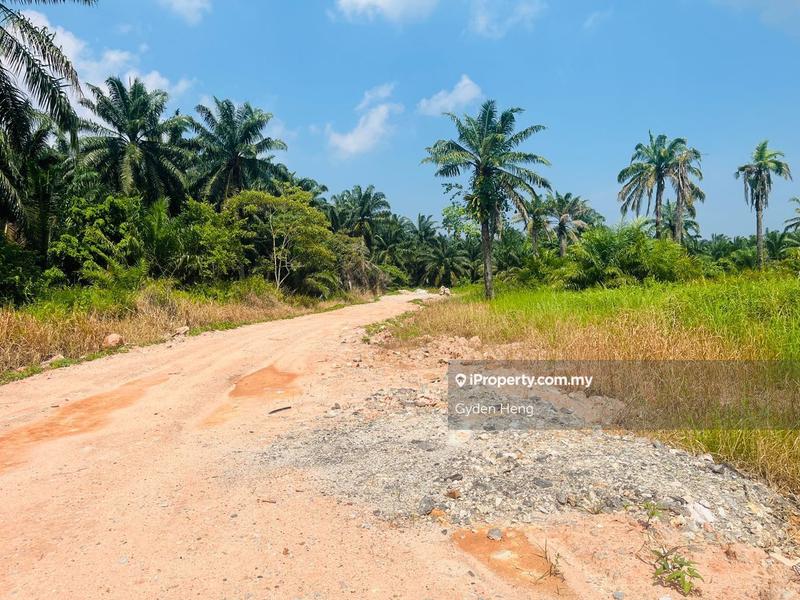 Agricultural Land for Sale in Taman Pontian Jaya, Pontian by Gyden Heng - iProperty.com.my