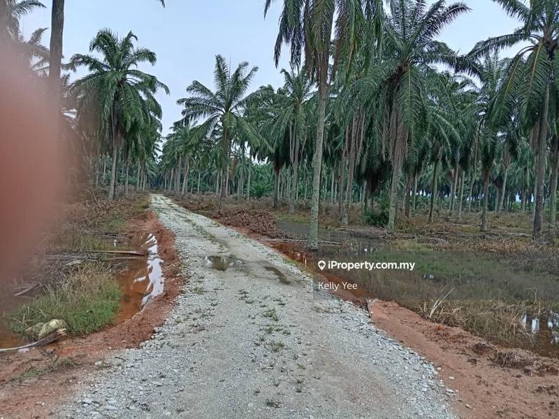 Agricultural Land for Sale in Changkat, Nibong Tebal by Kelly Yee - iProperty.com.my