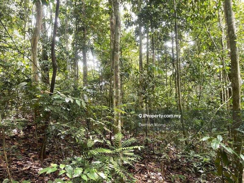 Tanah Pertanian untuk Dijual di Dong, Raub oleh Damon Wong - iProperty.com.my