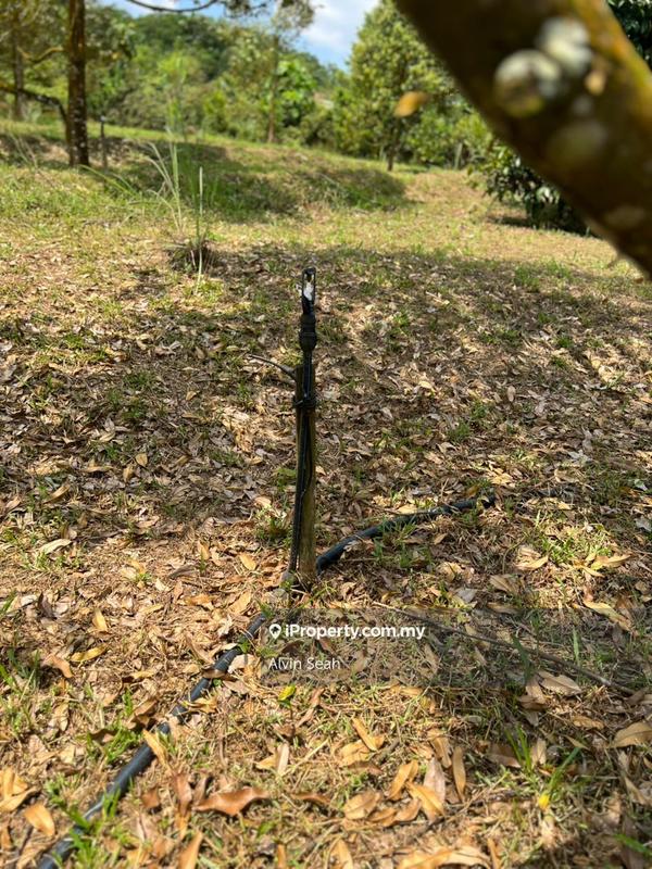 Tanah Pertanian untuk Dijual di Senai, Johor oleh Alvin Seah - iProperty.com.my