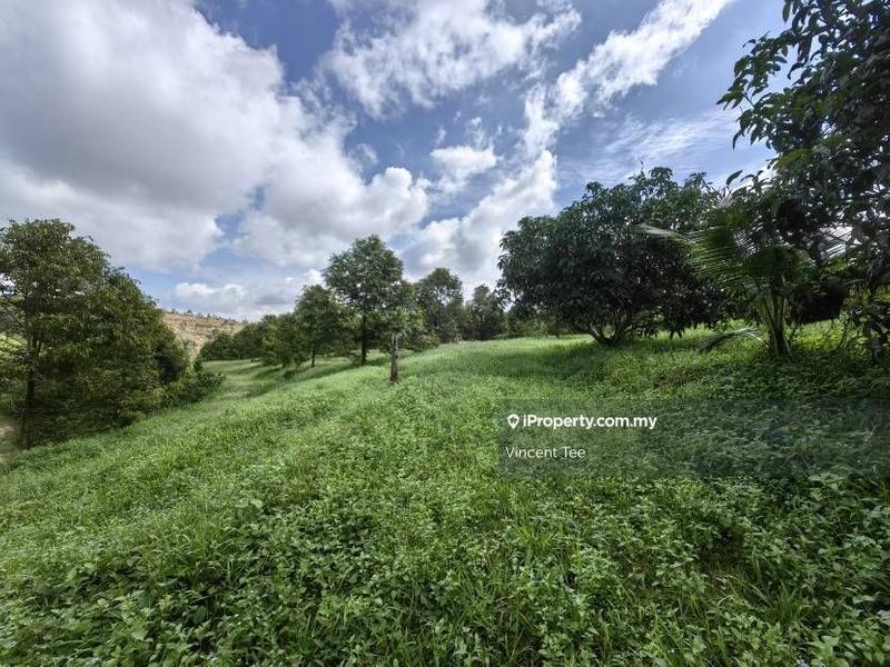 Agricultural Land for Sale in Bandar Lipis, Kuala Lipis by Vincent Tee - iProperty.com.my