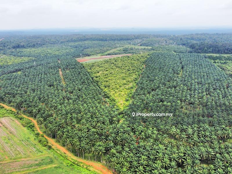 Agricultural Land for Sale in Kampung Batu 7, Port Dickson by Mohamad Faleeq - iProperty.com.my