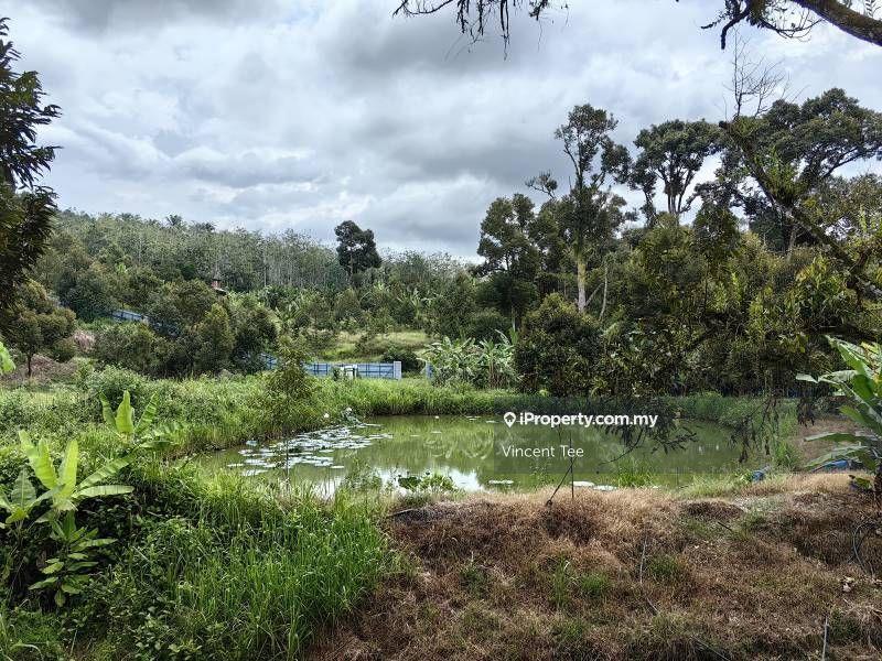 Tanah Pertanian untuk Dijual di Cheroh, Raub oleh Vincent Tee - iProperty.com.my