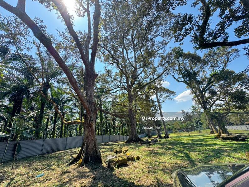 Agricultural Land for Sale in Kangkar Pulai, Skudai by Jessie Tan - iProperty.com.my