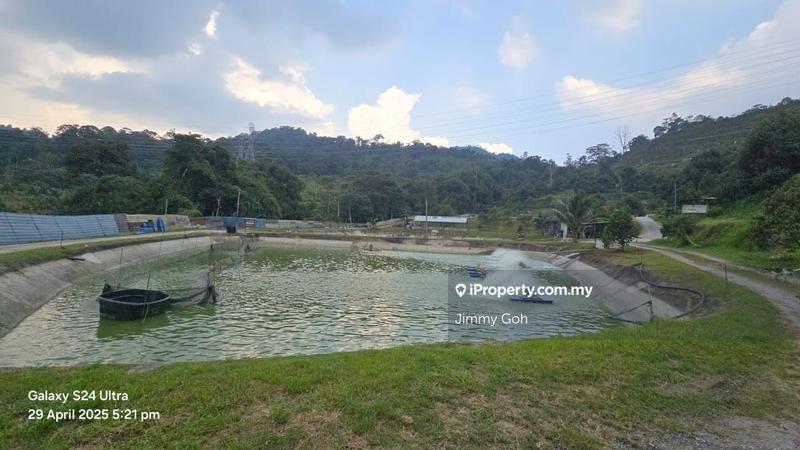 Tanah Pertanian untuk Dijual di Kampung Sungai Tekali, Hulu Langat oleh Jimmy Goh - iProperty.com.my