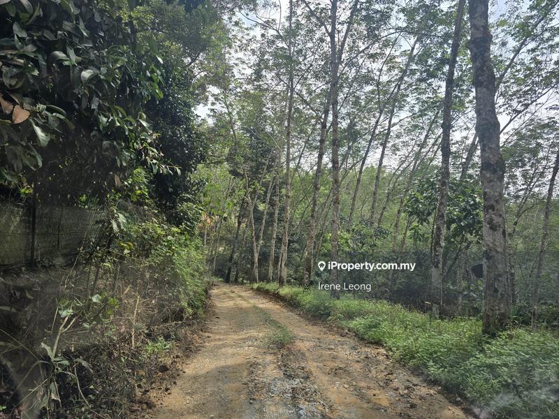 Agricultural Land for Sale in Karak, Pahang by Irene Leong - iProperty.com.my