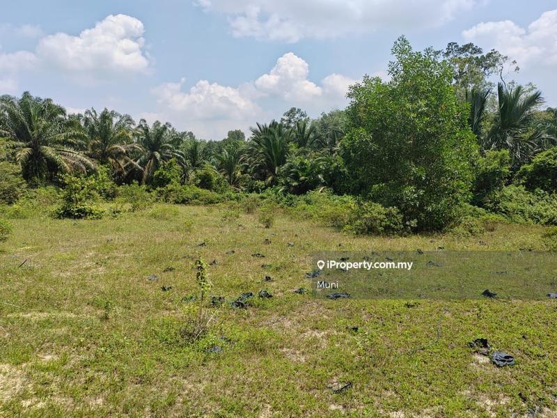 For Sale - Tanah pertanian untuk dijual