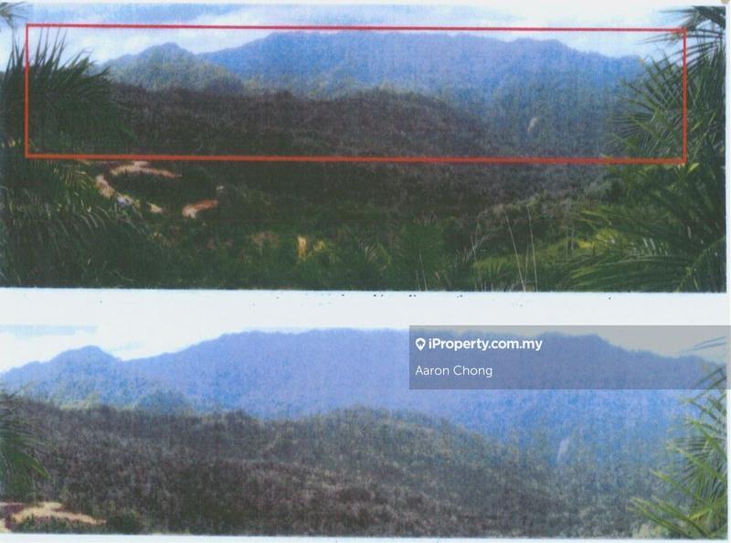 Agricultural Land for Sale in Ranau, Sabah by Aaron Chong - iProperty.com.my