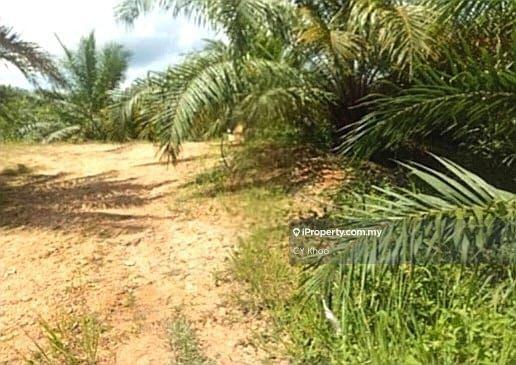 Tanah Pertanian untuk Dijual di Taman Gua Musang, Gua Musang oleh CY Khoo - iProperty.com.my