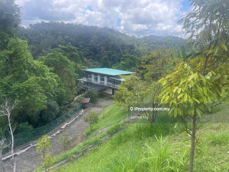 Agricultural Land for Sale in Bukit Tinggi, Bentong by James Ng - iProperty.com.my