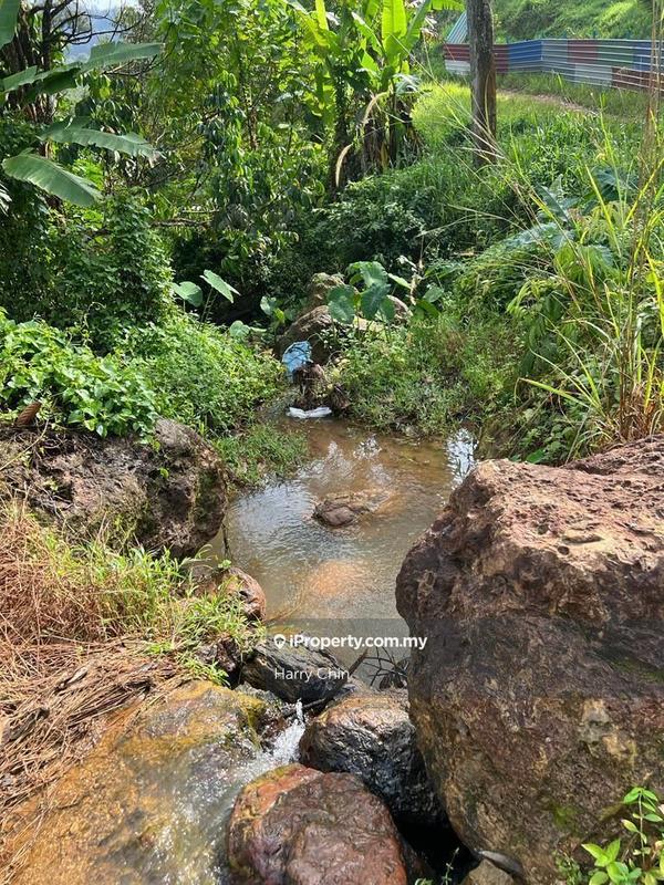 Agricultural Land for Sale in Bandar Tras, Raub by Harry Chin - iProperty.com.my