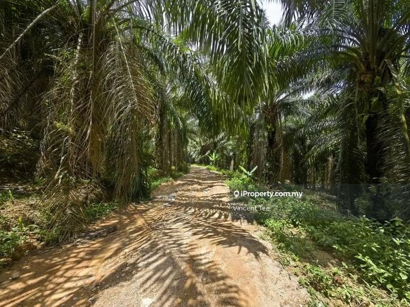 Tanah Pertanian untuk Dijual di Taman Jelebu, Kuala Klawang oleh Vincent Tee - iProperty.com.my