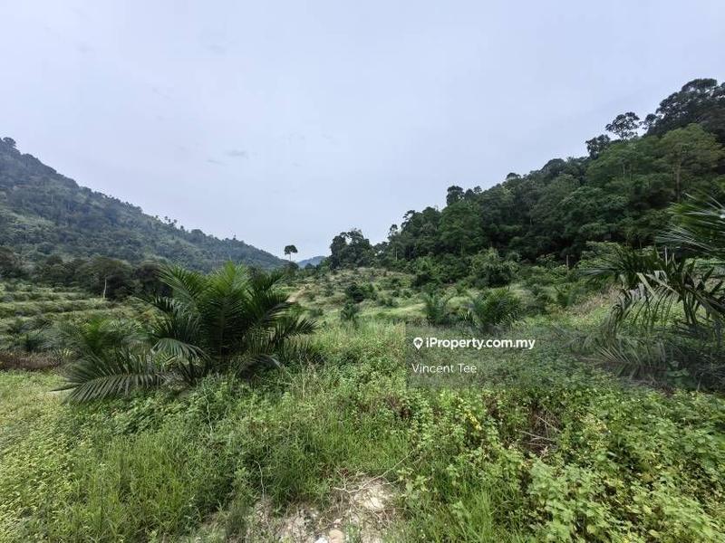 Agricultural Land untuk Dijual di Kampung Renal, Kuala Klawang oleh Vincent Tee - iProperty.com.my