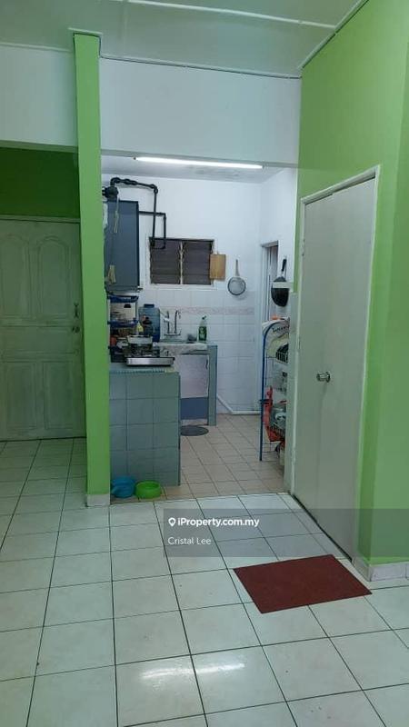 For Sale - Sri Begonia