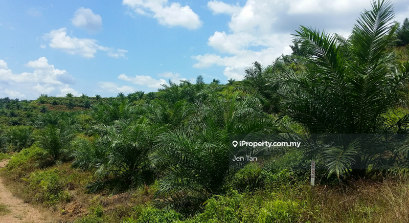Agricultural Land for Sale in Kampung Parit Mahang, Ijok by Jen Tan - iProperty.com.my
