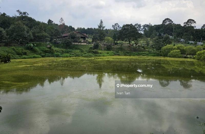 Tanah Pertanian untuk Dijual di Kampung Sungai Makau, Hulu Langat oleh Ivan Tan - iProperty.com.my