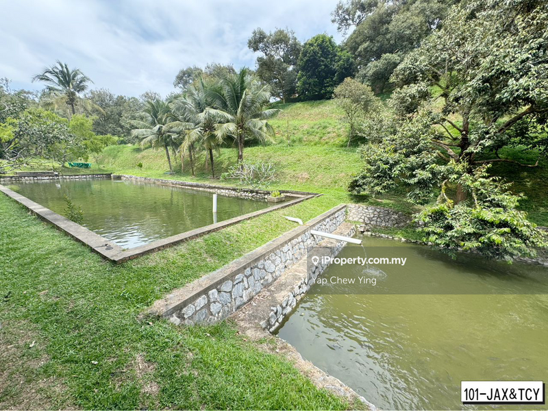 Tanah Pertanian untuk Dijual di Bandar Tras, Raub oleh Yap Chew Ying - iProperty.com.my