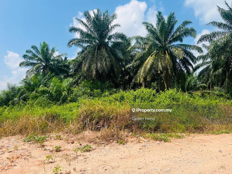 Agricultural Land for Sale in Taman Pontian Jaya, Pontian by Gyden Heng - iProperty.com.my