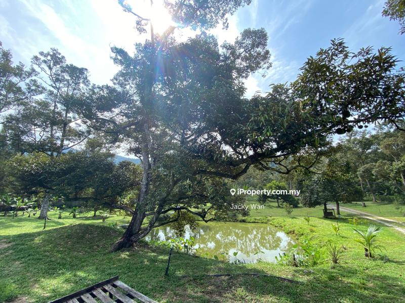 For Sale - Agricultural Land