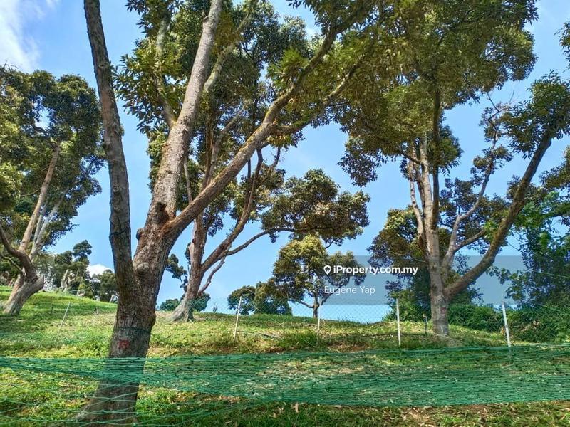 Agricultural Land for Sale in Bukit Tinggi, Bentong by Eugene Yap - iProperty.com.my