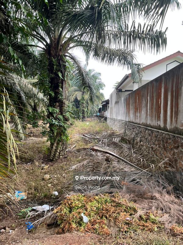 Tanah Pertanian untuk Dijual di Taman Murni, Kluang oleh Jason Wong - iProperty.com.my