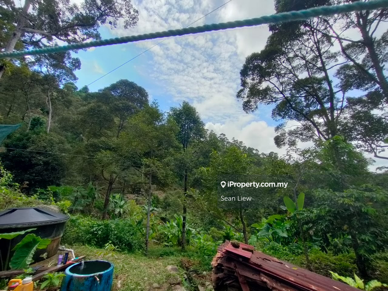 Agricultural Land for Sale in Pulau Penang, Bayan Lepas by Sean Liew - iProperty.com.my