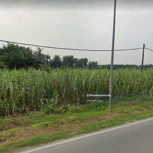 Agricultural Land for Sale in Tanjong Dua Belas, Kuala Langat, Bukikt Changgang, Banting by Manson Liong - iProperty.com.my