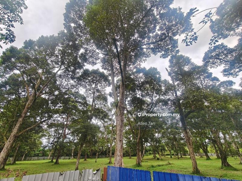 Tanah Pertanian untuk Dijual di Nearby Taman Utama, Pekan Nanas oleh Allen Tan - iProperty.com.my