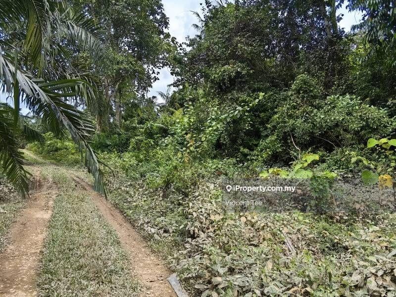 Tanah Pertanian untuk Dijual di Bandar Baru Temerloh, Temerloh oleh Vincent Tee - iProperty.com.my